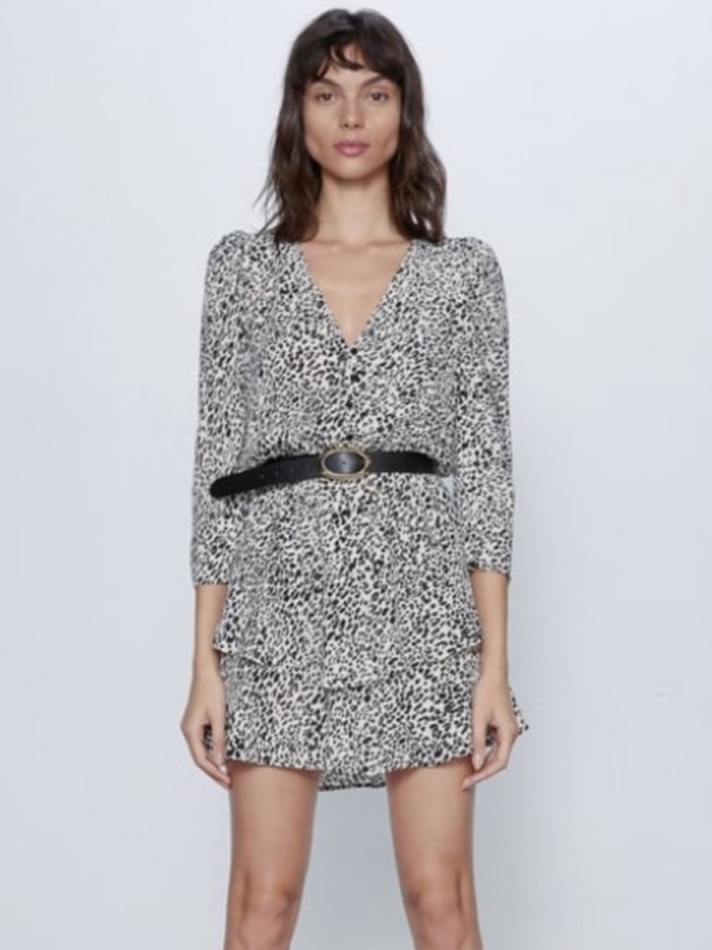 Zara Black and White Animal Print Long Sleeve Dress